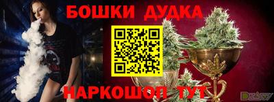 мдпв Ачхой-Мартан