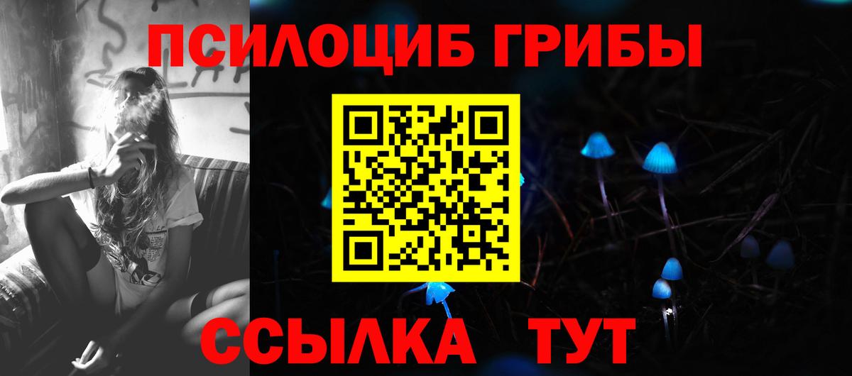 Псилоцибиновые грибы Psilocybine cubensis  Вход с VPN  Владикавказ 